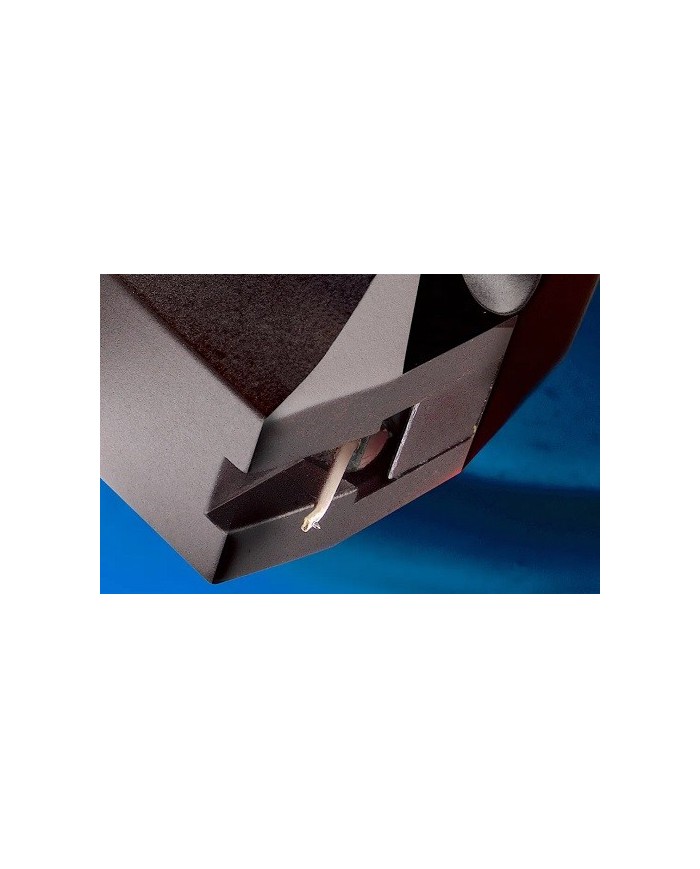 Hana ML Testina a bobina mobile a bassa uscita  stilo nude diamond taglio Microline