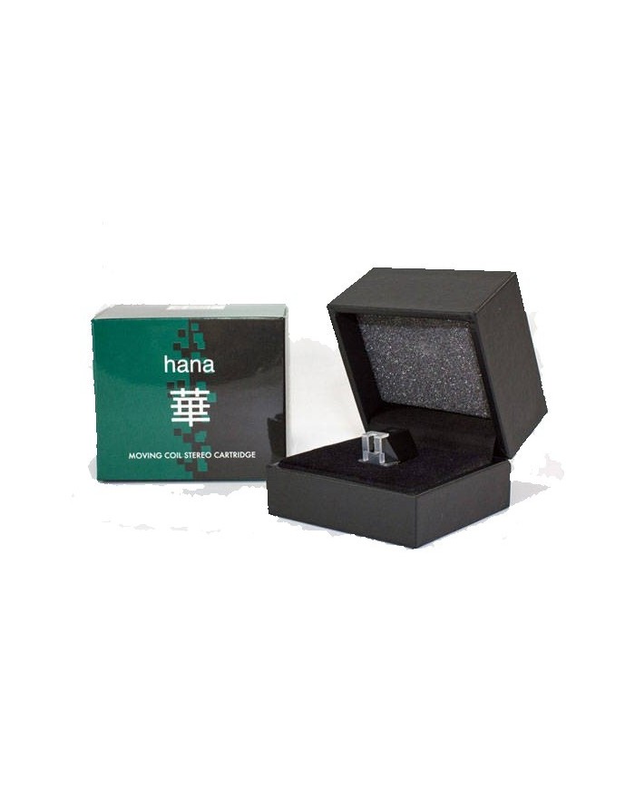 Testina MC ad alta uscita stilo nude diamond taglio Shibata,Hana SH mk II