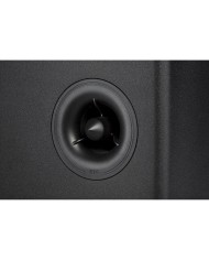 Diffusore Centrale LARGE a 2 vie  Polk Audio Reserve R400  Nero