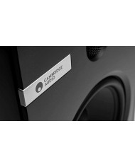 Coppia Diffusori Bookshelf 2 vie bass reflex  Cambridge Audio EVO S