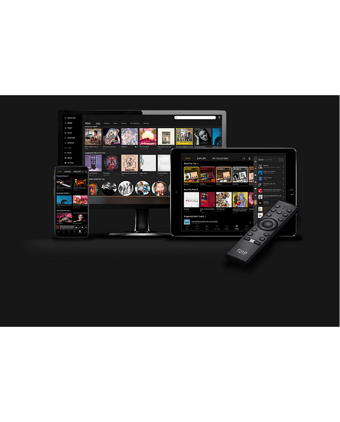 Network Streamer  Lettore di rete con DAC Sabre  Rose RS250A  Nero