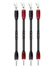 Set di 4 ponticelli BiWire Jumpers  Audioquest ThunderBird Dragon PSS