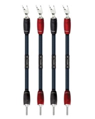 Jumpers BiWire ponticelli  Audioquest ThunderBird Jumpers BiWire PSC+