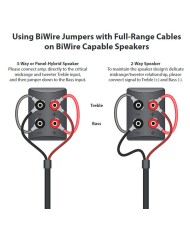 Jumpers BiWire ponticelli  Audioquest ThunderBird Jumpers BiWire PSC+