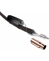 Cavi di segnale RCA con tecnologia ZERO-Tech  Audioquest Pegasus RCA