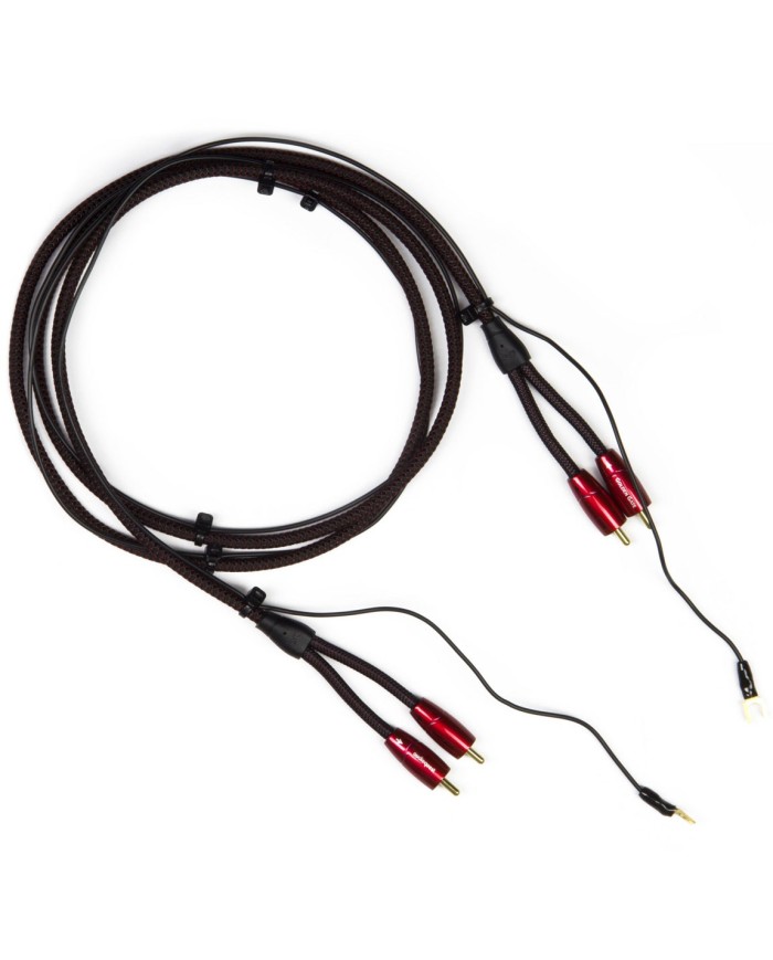 Cavo Turntable per giradischi RCA-RCA  Audioquest Golden Gate  1.5mt