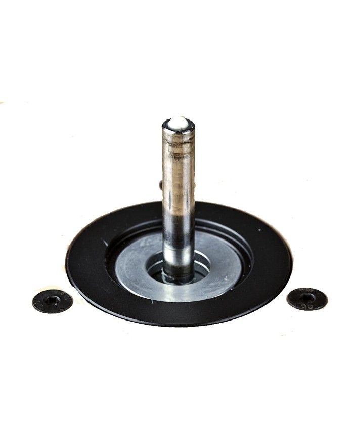 Giradischi  Pro-Ject X-TENSION 10 Evolution SuperPack  Eucalipto