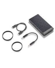 Amplificatore portatile in classe A  Astell&Kern AK PA10  Grigio