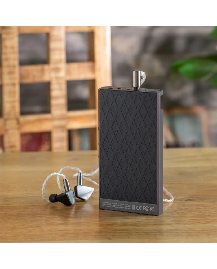 Amplificatore portatile in classe A  Astell&Kern AK PA10  Grigio