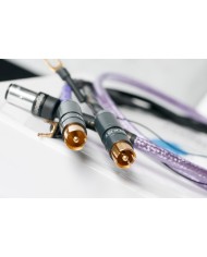 Cavo per braccio giradischi schermato  Nordost Frey 2 Tonearm Cable +