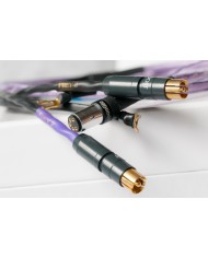 Cavo per braccio giradischi schermato  Nordost Frey 2 Tonearm Cable +