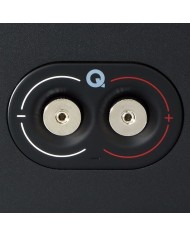 Diffusore canale centrale 2 vie bass reflex  Q Acoustics 5090  Nero Matt