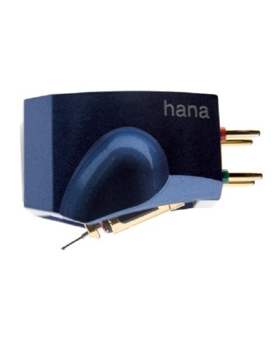 Hana Umami Blue Testina a bobina mobile a bassa uscita