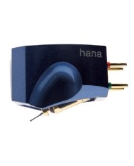 Hana Umami Blue Testina a bobina mobile a bassa uscita