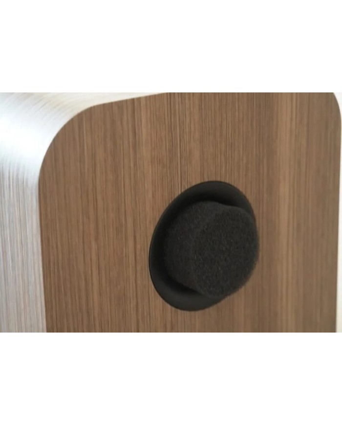 Diffusore da scaffale a 2 vie bass reflex  Q Acoustics 5020  Holme Oak