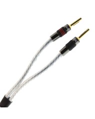 Coppia cavi per diffusori  QED SIGNATURE Genesis Silver Spiral