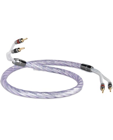 Coppia cavi per diffusori  QED SIGNATURE Genesis Silver Spiral