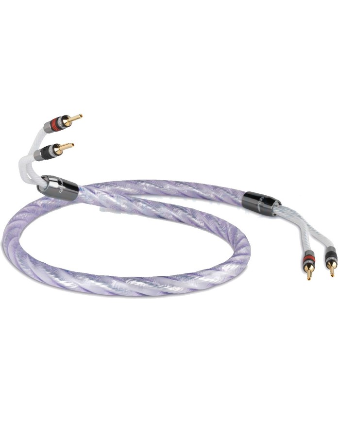 Coppia cavi per diffusori  QED SIGNATURE Genesis Silver Spiral