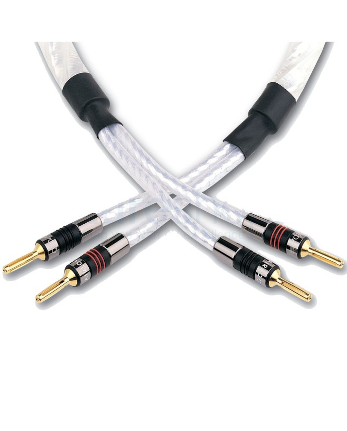 Coppia cavi per diffusori  QED SIGNATURE Genesis Silver Spiral