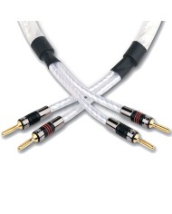 Coppia cavi per diffusori  QED SIGNATURE Genesis Silver Spiral