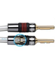 Coppia cavi per diffusori  QED SIGNATURE Genesis Silver Spiral