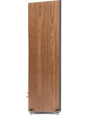 Coppia Diffusori da pavimento 3 vie  Martin Logan Motion XT F100  Noce