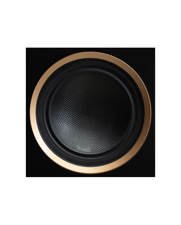 Diffusore canale centrale a 2.5 vie  Martin Logan Motion XT C100  Noce