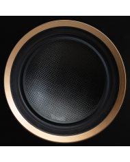 Diffusore canale centrale a 2.5 vie  Martin Logan Motion XT C100  Noce