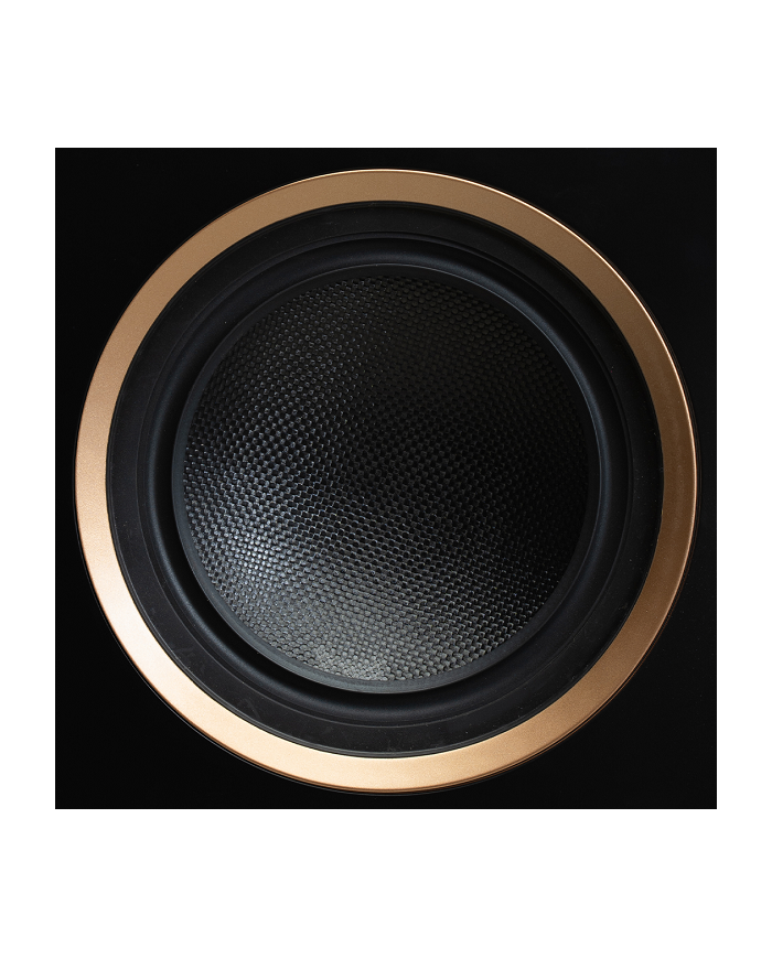 Coppia Diffusori da pavimento 3 vie  Martin Logan Motion XT F200  Noce