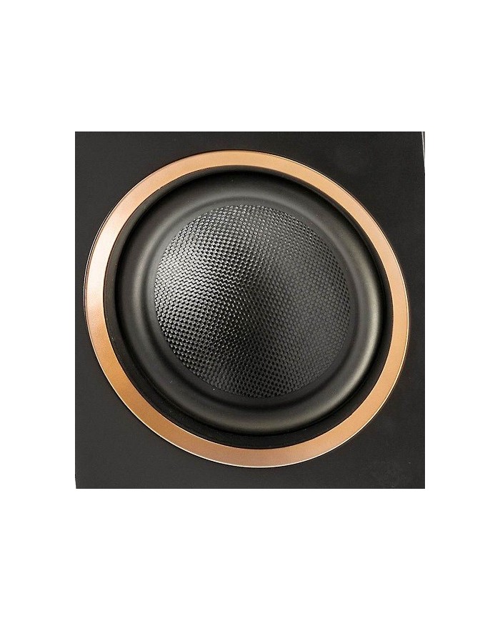 Diffusore per canale centrale a 2.5 vie  Martin Logan Motion C10  Noce