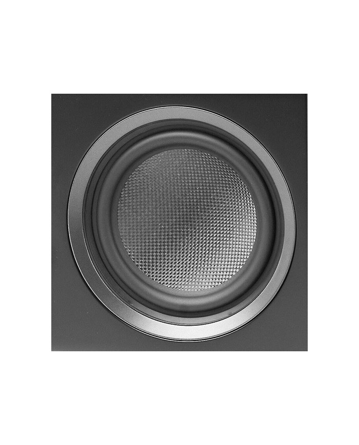 Diffusore canale centrale a 2.5 vie  Martin Logan Motion XT C100  Nero