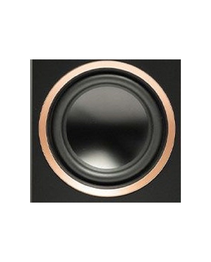 Coppia Diffusori da pavimento 3 vie  Martin Logan Motion XT F200  Noce