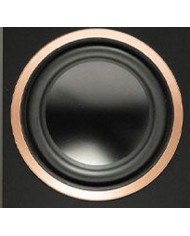 Coppia Diffusori da pavimento 3 vie  Martin Logan Motion XT F200  Noce