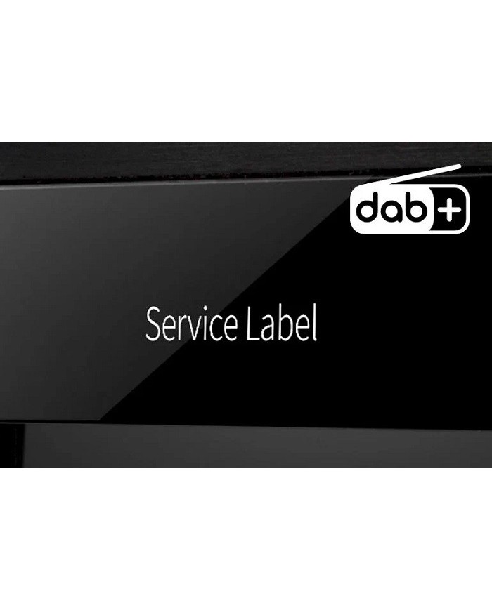 Amplificatore integrato con streaming di rete  Yamaha R-N1000A  Silver