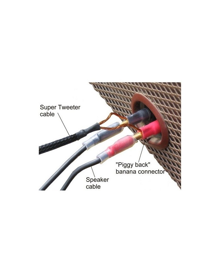 Supertweeter per tutti altoparlanti  Townshend MAXIMUM SUPERTWEETERS