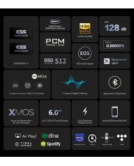 Lettore di rete con DAC  Eversolo DMP-A6 Master Edition