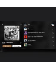 EverSolo DMP-A6, dmp a6, eversolo lettore di rete dmp a6, streamer