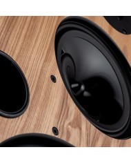 Diffusore da stand 3 vie bass reflex  Harbeth Monitor 40.3 XD  Exotic Ash