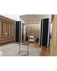 Diffusore a 3 vie ibrido magnetico planare  Magnepan 20.7