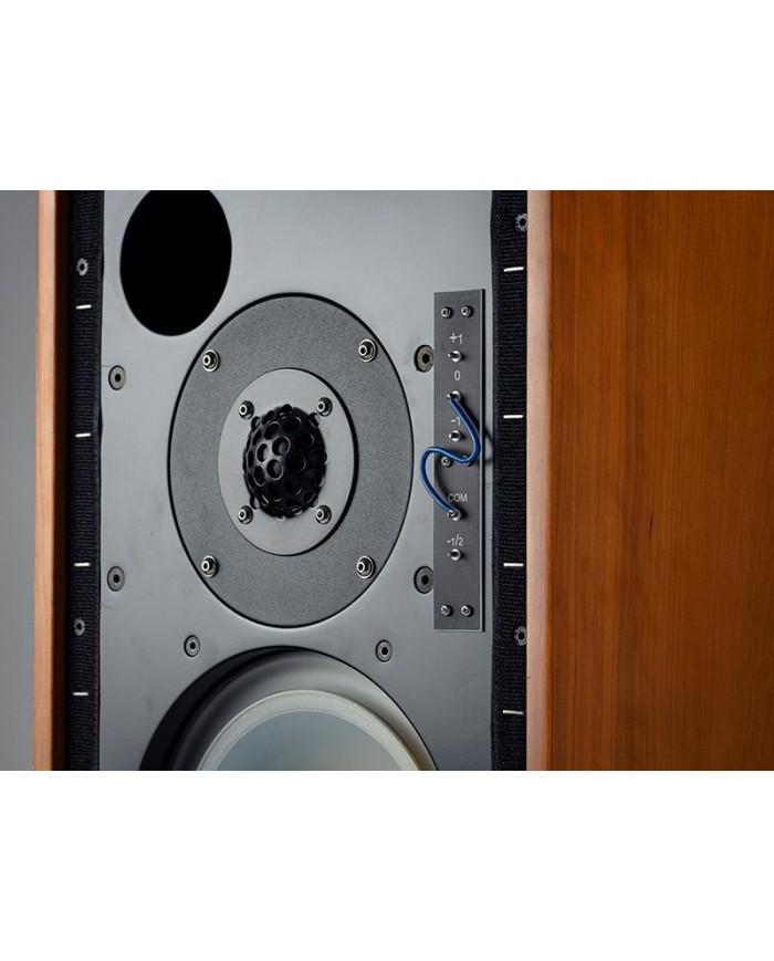 Diffusore bookshelf 2 vie bass reflex  Musical Fidelity LS5/9  Ciliegio