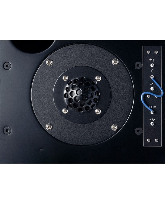 Diffusore bookshelf 2 vie bass reflex  Musical Fidelity LS5/9  Ciliegio