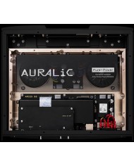 Streamer di rete senza DAC wireless  2 Femto Clock. Auralic Aries G3