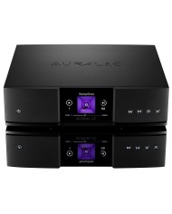Streamer di rete senza DAC con HD installato  Auralic Aries G3 4TB SSD