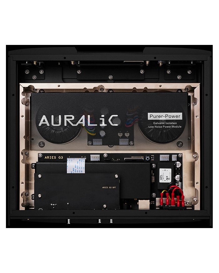 Streamer di rete senza DAC con HD installato  Auralic Aries G3 4TB SSD