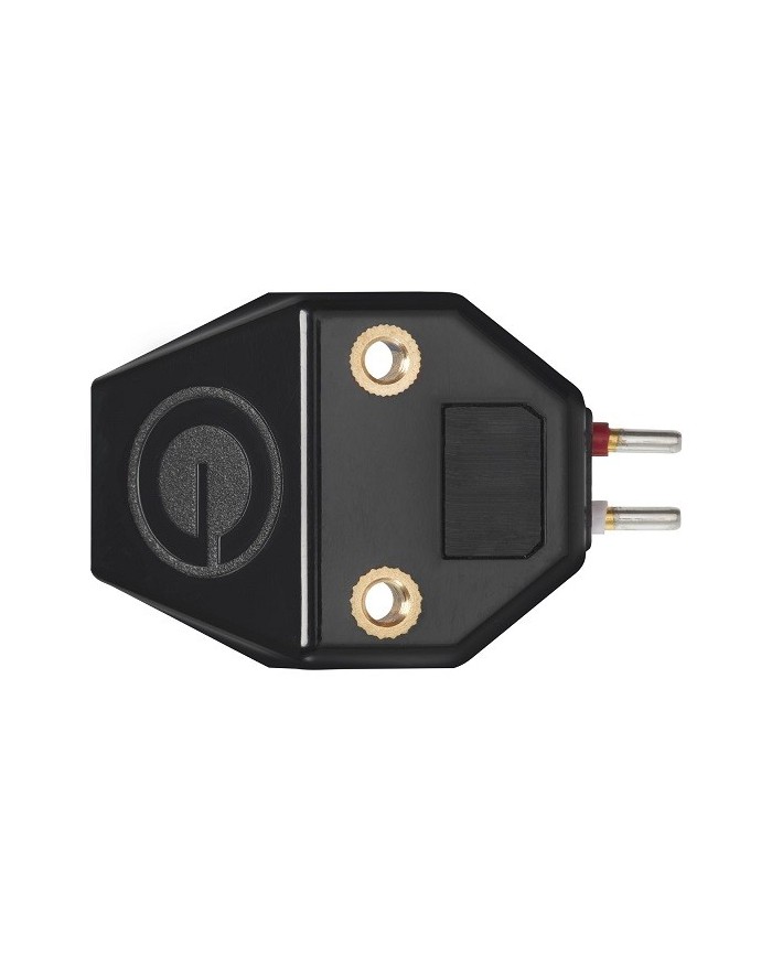 Testina MM con stilo super ellittico in diamante nudo  Goldring E4