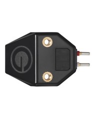 Testina MM con stilo super ellittico in diamante nudo  Goldring E4