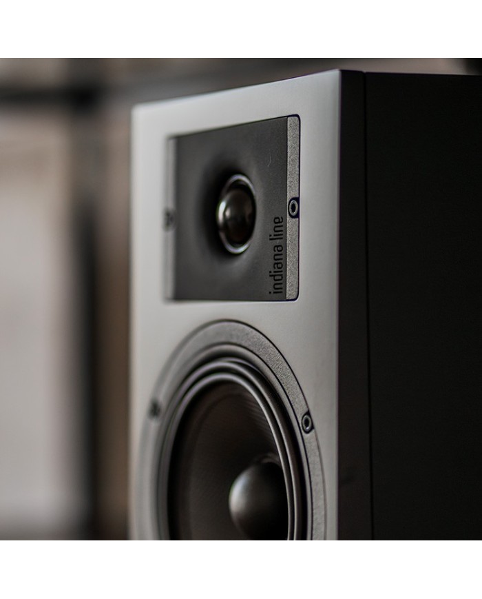 Altoparlante da scaffale 2 vie bass reflex Indiana Line Diva 3 diva 3