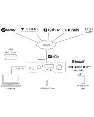Lettore di rete con DAC USB e uscita cuffie  Teac NT-505-X  Silver