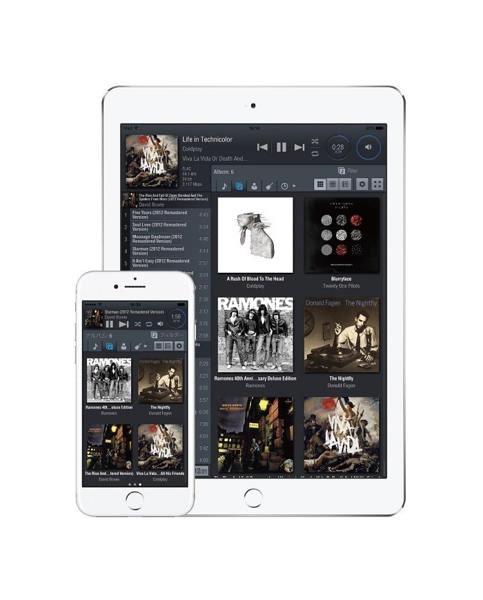 Lettore di rete con DAC USB e uscita cuffie  Teac NT-505-X  Silver