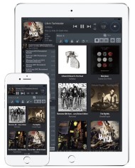 Lettore di rete con DAC USB e uscita cuffie  Teac NT-505-X  Silver